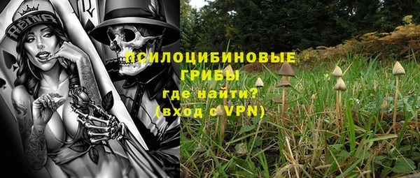 скорость Павловск