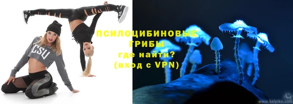 apvp Алексеевка