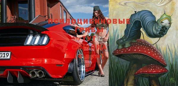 кристаллы Абаза