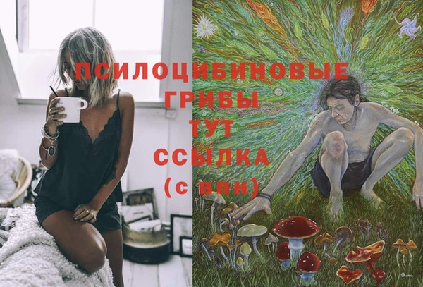кристаллы Абаза