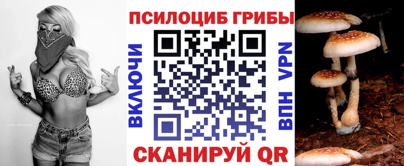Галлюциногенные грибы мицелий  где найти наркотики  omg рабочий сайт  Ессентукская 